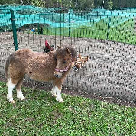 فيلا Maee Farm Rõuge المظهر الخارجي الصورة